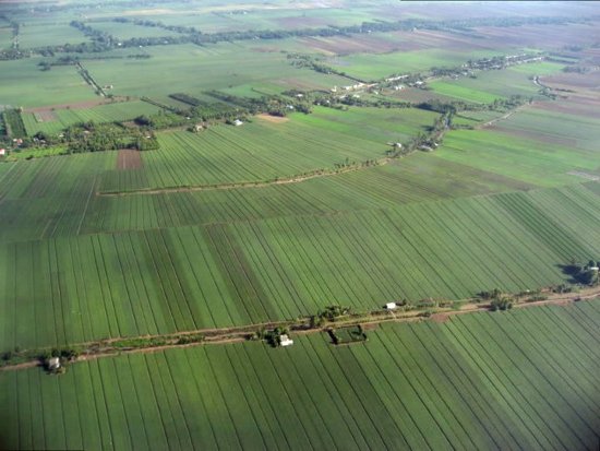 Campos