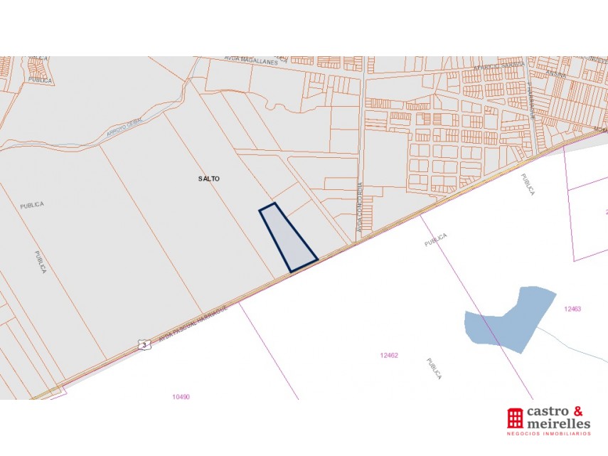 PADRÓN 31.341